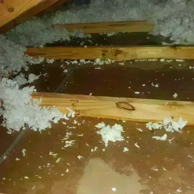 Attic Water Damage in Hunt County, TX