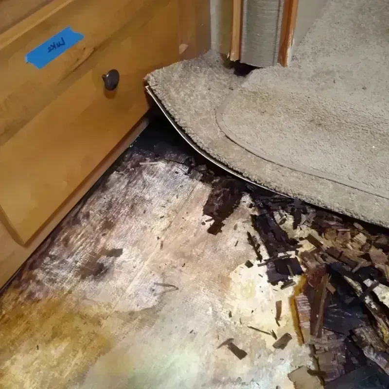 Best Wood Floor Water Damage Service in Hunt County, TX